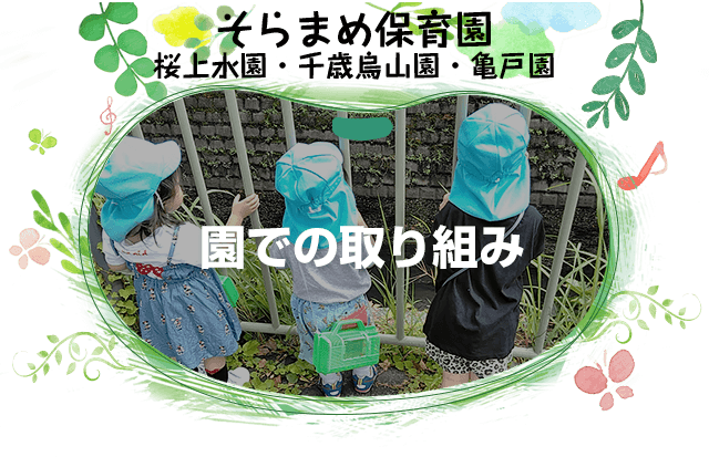 園での取り組み そらまめ保育園